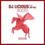 DJ Licious, Jae Hall - Roots (Extended Mix)