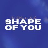 Isaiah J. Medina, Alex Aiono - Shape of You (Original Mix)