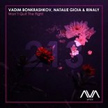 Vadim Bonkrashkov, Natalie Gioia feat. Rinaly - Won't Quit The Fight (Extended Mix)
