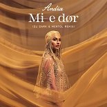 Andia - Mi-e dor (Dj Dark & Mentol Remix)