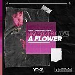 Robaer Leines, Emelie Cyrus - Fading Like A Flower (Original Mix)