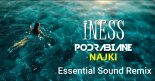 Iness & Deal - Najki (Essential Sound Remix) 2021