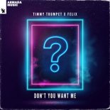Timmy Trumpet, Felix - Don't You Want Me (Extended Mix)