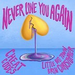 Cheat Codes, Little Big Town x Bryn Christopher feat. Andrew Jackson - Never Love You Again (Original Mix)