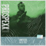 Limitless - Need You (Original Mix)