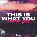 Crisis, Tsebster & H.I.S.E. - This Is What You Came For