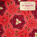 Calvin Harris - By Your Side (feat. Tom Grennan) (Acoustic)