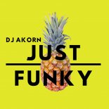 Dj Akorn - Just Funky