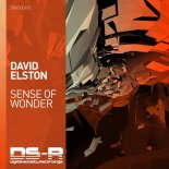 David Elston - Sense of Wonder (Extended Mix)