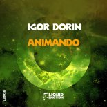 Igor Dorin - Animando (Original Mix)