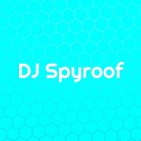 DJ Spyroof - Wild Going