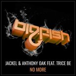 JackEL & Anthony Oak feat. Trice Be - No More (Original Mix)