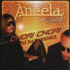 Aneela feat. Arash - Chori Chori (DJ DAIV radio edit)