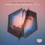 Miguel Migs feat. Andy Allo - Sensations (Miguel Migs Deep Feels Extended Vocal)