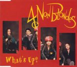 4 Non Blondes - Whats Up 2021(Melbourne Bootleg)