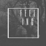 Raphael W - Feeling (Extended)