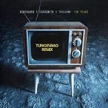 Hedegaard, Echosmith feat. Tvilling -100 Years (Tungevaag Remix)