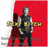 David Guetta feat. Akon - Sexy Bitch (Dor Halevi Remix)