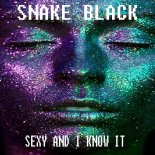 Snake Black - Sexy and I Know It (Video Mix)