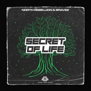 North Rebellion & Bravez - Secret Of Life (Original Mix)