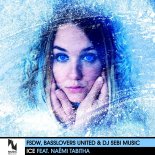 FSDW, Basslovers United & DJ Sebi Music - ICE (feat. Naëmi Tabitha)