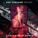 Ace Ventura - Hello (Pantomiman Remix)