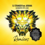 DJ Stranger, Adriana - Goodbye My Love (Ayur Tsyrenov Extended Remix)