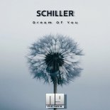 Schiller - Dream Of You (NG Remix)