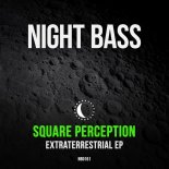 Square Perception - Amber (Original Mix)