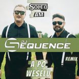 Soleo & AM - A Po Weselu (DJ Sequence Extended Remix)