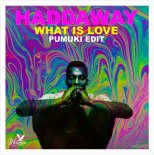 Haddaway - What Is Love (Pumuki Edit)