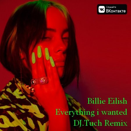 Billie Eilish - Everything i wanted (DJ.Tuch Remix)