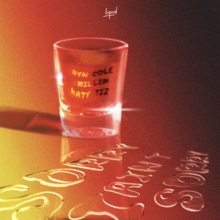 Syn Cole feat. Willim x Katy Tiz - Sorry I Aint Sorry