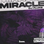 DJ Fluke - Miracle