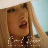 Alina Eremia - Cerul Rosu (Adrian Funk X OLiX Remix)