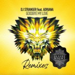 DJ Stranger & Adriana - Goodbye My Love (Jenia Smile & Ser Twister Remix)