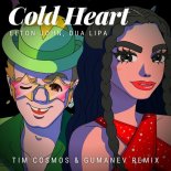 Elton John & Dua Lipa - Cold Heart (Tim Cosmos & Gumanev Radio Remix)