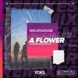 Robaer, Leines, Emelie Cyreus - Fading Like a Flower (Crystal Rock & Marc Kiss Extended Remix)