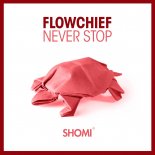 Flowchief - Never Stop (Extended Mix)