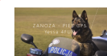 Zanoza - Pies GPS (Yessa 4FUN)