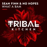 Sean Finn, No Hopes - What A Bam (Original Mix)
