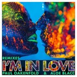 Paul Oakenfold & Aloe Blacc - I'm In Love (Nat Monday Remix)