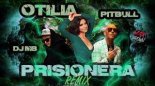 Otilia x Anton Shipilov x Pitbull - Prisionera (DJ MB Remix)