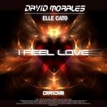 David Morales x Elle Cato - I Feel Love (Extended Mix)