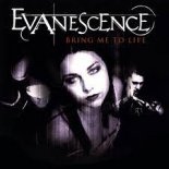 Evanescence - Bring Me To Life (DJ LiON ViP EdiT)