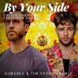 Calvin Harris feat. Tom Grennan - By Your Side (Gumanev & Tim Cosmos Remix)