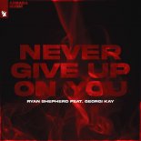 Ryan Shepherd & Georgi Kay - Never Give Up On You (Extended Mix)