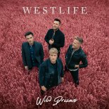 Westlife - You Raise Me Up (Live At Ulster Hall)