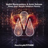 Vadim Bonkrashkov & Amin Salmee - Roam (Extended Mix)