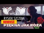 Młode Wilki feat. Rysiek Szczena - Piękna Jak Róża